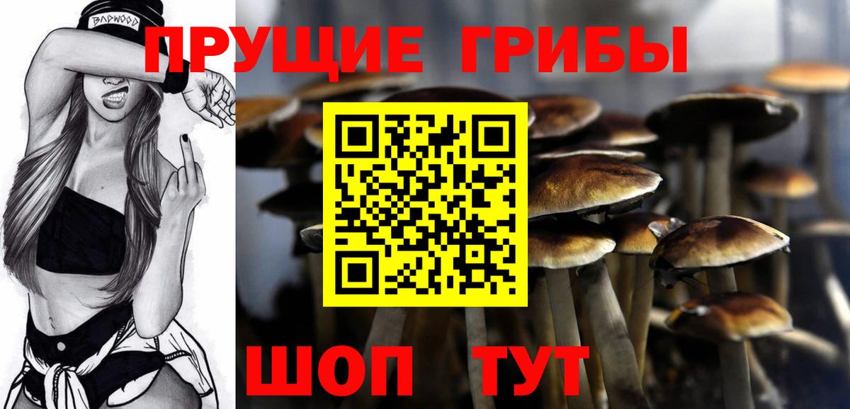 где купить   Галлюциногенные грибы мухоморы  Ачхой-Мартан  Вход с VPN  Галлюциногенные грибы мицелий 