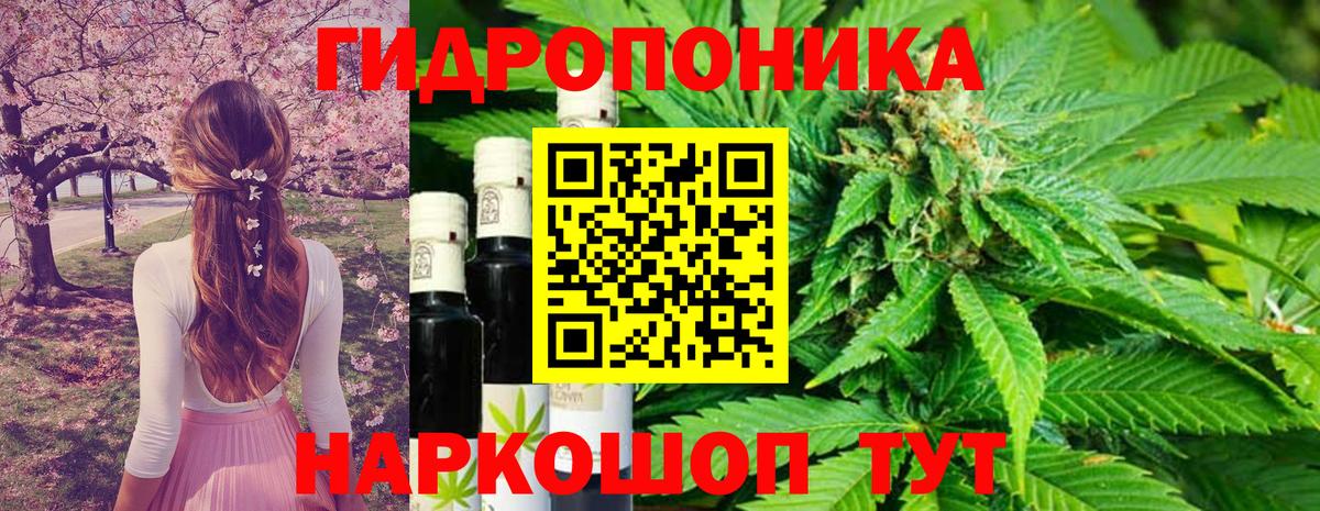 Канабис Amnesia  Вход с VPN  Ачхой-Мартан  Каннабис MAZAR  Каннабис White Widow 